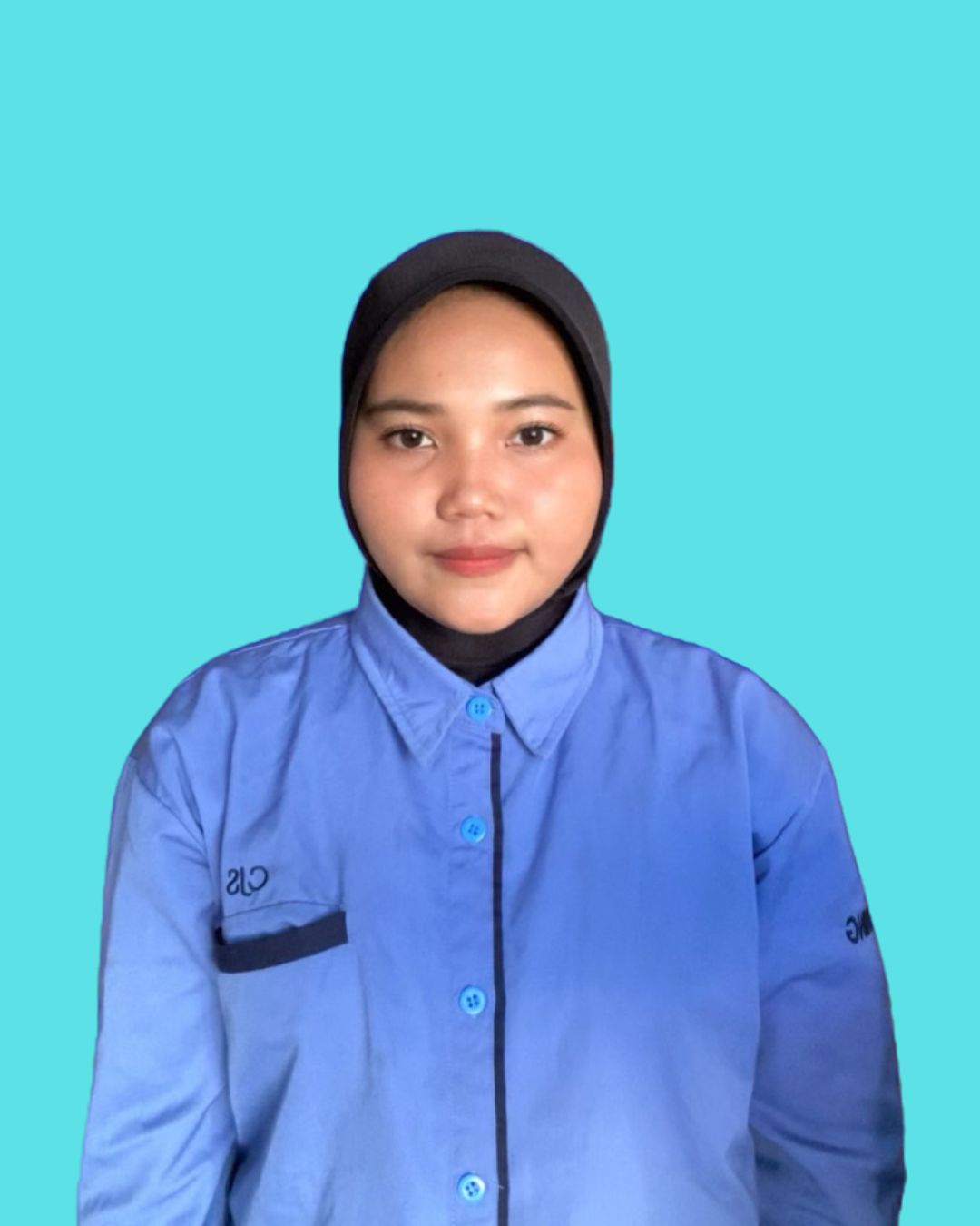 DINI